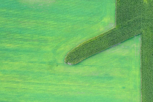 Blick Von Oben Auf Felder Und Bäume Ländliche Landschaft — Stockfoto