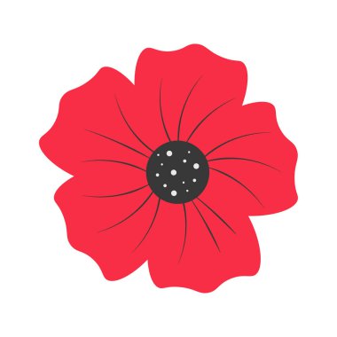 Haşhaş çiçeği illüstrasyonu Anma Günü Vektörü