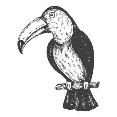 Tropikal kuş çizimi vektör çizimi