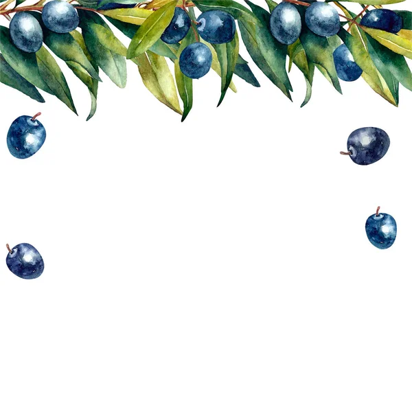 Бранч с оливками и оливками с акварелью — стоковое фото