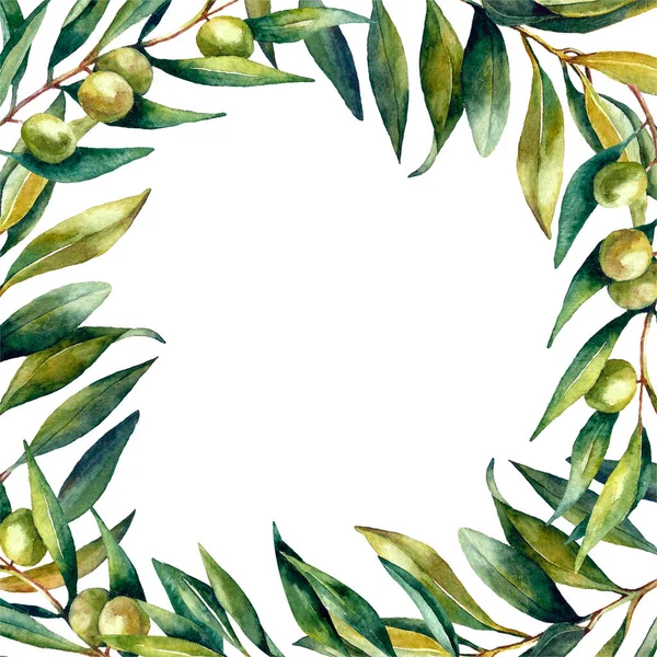Zestaw akwareli oliwki brunch i zestaw oliwek — Zdjęcie stockowe