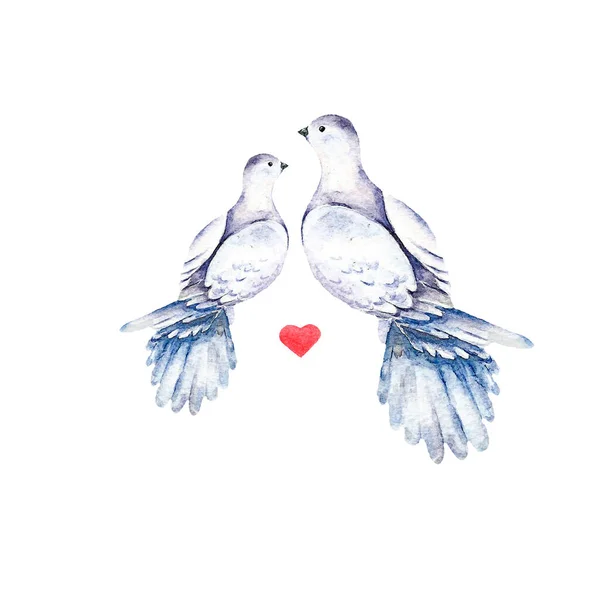 Akvarelová karta s holubicí a červeným srdcem. Ruční kreslení ilustrací. — Stock fotografie