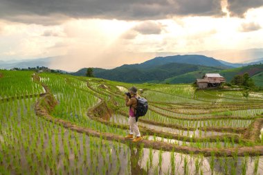 The man is taking the photos  on the rice field At papong pian house, Chiangmai,Thailand.