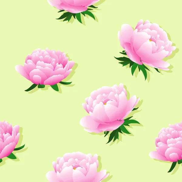 Pembe Leylak Rengi Şakayık Gül Şakayık Güller Çiçekler Yaz Mevsiminde — Stok Vektör