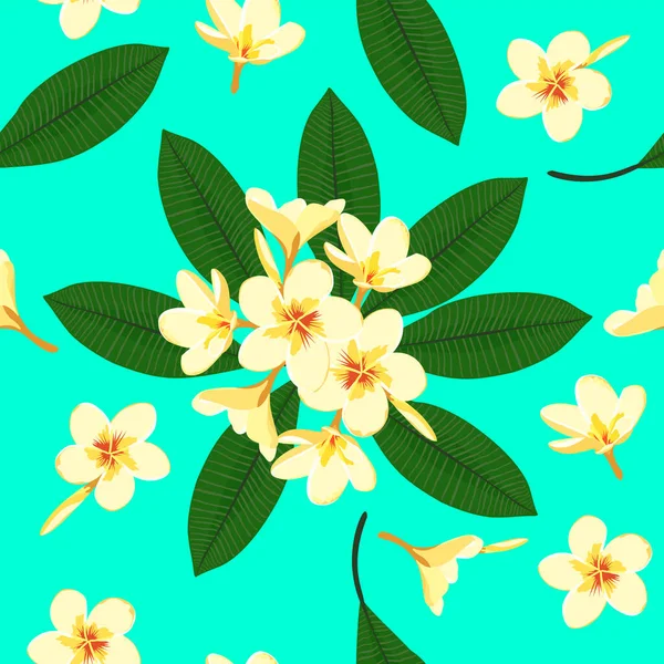 Wektor Bezszwowy Wzór Białych Żółtych Egzotycznych Frangipani Lub Kwiaty Plumerii — Wektor stockowy