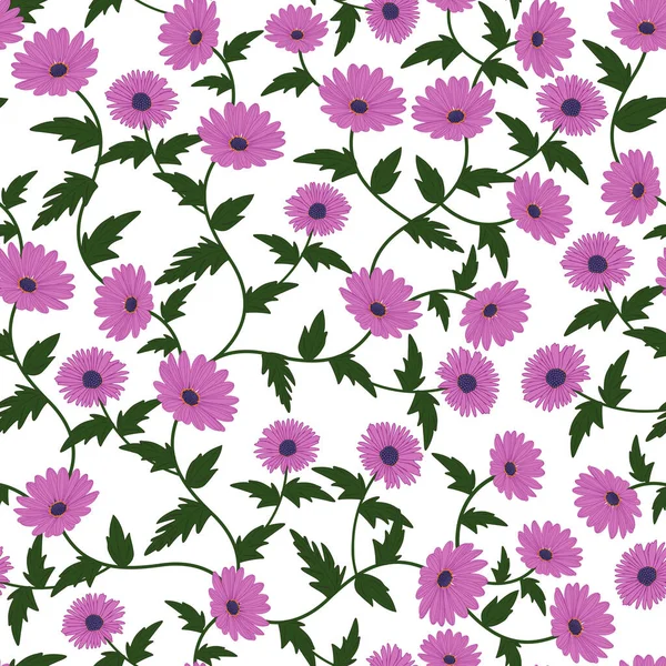 Motif Vectoriel Sans Couture Fleurs Violettes Sauvages Fleurs Marguerite Pourpre — Image vectorielle