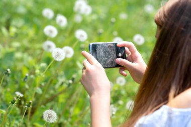 Kız akıllı telefonla karahindiba fotoğrafı çekiyor. Doğal olarak yaz aktivitesi. Doğa araştırması. Alerji sezonu.
