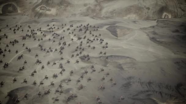 Вид Сверху Большую Старинную Армию Заряжающуюся Поле Битвы — стоковое видео