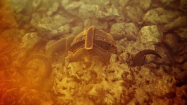 Antik Viking Savaşçısı Kaskı Volkanik bir kayaya gömülmüş