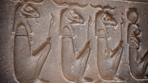 Antike Ägyptische Hieroglyphen Der Wand — Stockvideo