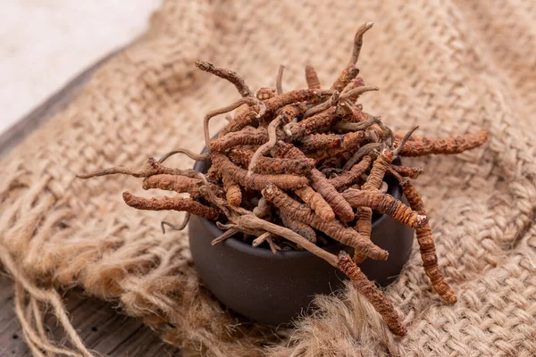 CATERPILLAR FUNGUS (CORDYCEPS, veya OPHIOCORDYCEPS SINENSIS) sadece Tibet, Nepal, Çin, Butan ve Kuzey-Doğu Hindistan 'da yüksek irtifada büyür..