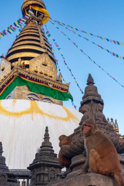 Katmandu, Nepal 'deki Maymun Tapınağı. 12 Aralık 2021