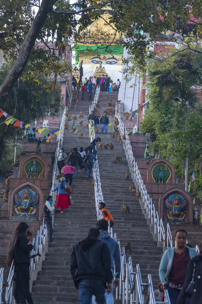 Ναός Πιθήκου Στο Κατμαντού Του Νεπάλ Δεκεμβρίου 2021 — Φωτογραφία Αρχείου