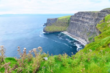 İrlanda Cumhuriyeti, Moher Kayalıkları. Popüler turizm rotası