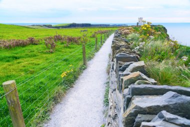 İrlanda Cumhuriyeti, Moher Kayalıkları. Popüler turizm rotası