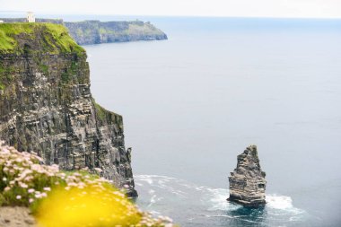 İrlanda Cumhuriyeti, Moher Kayalıkları. Popüler turizm rotası