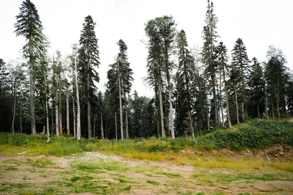 Scenic groene bergen en prachtige lucht wolken voor de achtergrond — Stockfoto