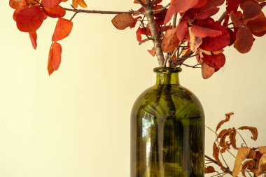 Dekoratif kurumuş bitki dallarının kırpılmış görüntüsü