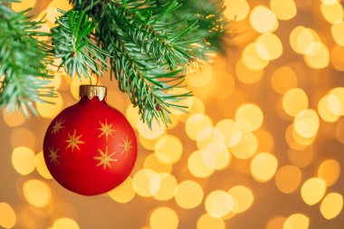 Kırmızı Noel balosu, köknar ağacının dalında altın bokeh ışıkları üzerinde asılı duruyor.