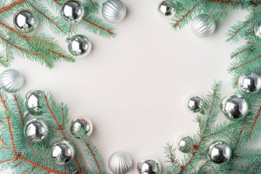 Beyaz arkaplanda çam dalları, kopyalama alanı, düz yatak