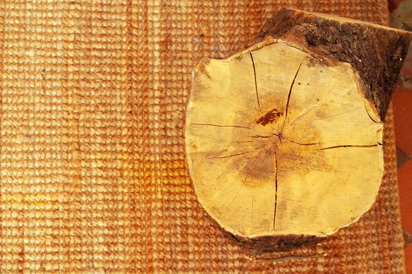 Close up shot of a wooden log — Stock Photo, Image