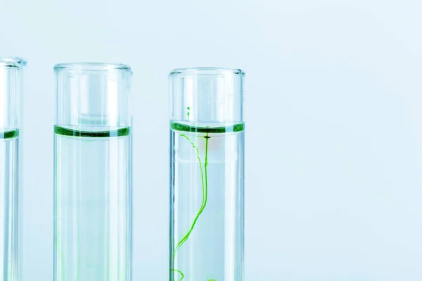 Zielone płyny w probówkach w laboratorium chemicznym z bliska — Zdjęcie stockowe