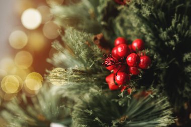 Süslemeleri ile Noel çam ağacı dalı yakın