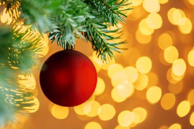 Kırmızı Noel balosu, köknar ağacının dalında altın bokeh ışıkları üzerinde asılı duruyor.