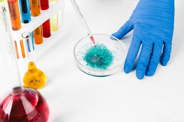 Pesquisa química em placas de Petri feita por um cientista de perto — Fotografia de Stock