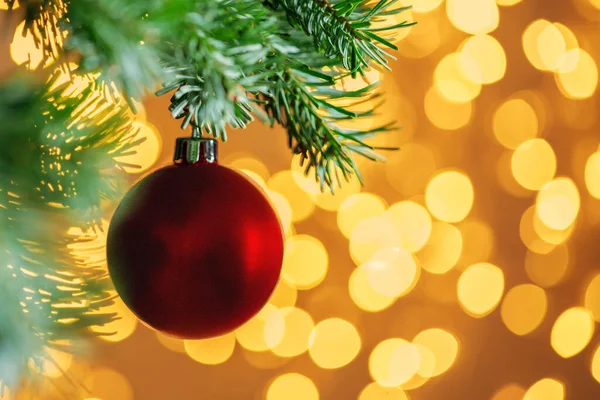 Rote Weihnachtskugel hängt auf Tannenzweig über goldenem Bokeh-Licht Hintergrund lizenzfreie Stockfotos