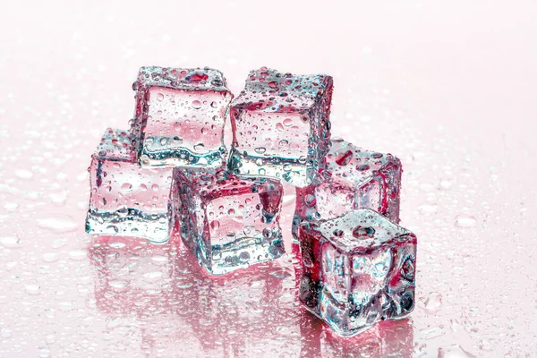 분홍색 배경에 있는 얼음 — 스톡 사진