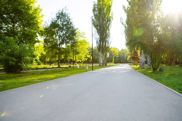 O caminho da estrada no parque da cidade com árvores e grama — Fotografia de Stock