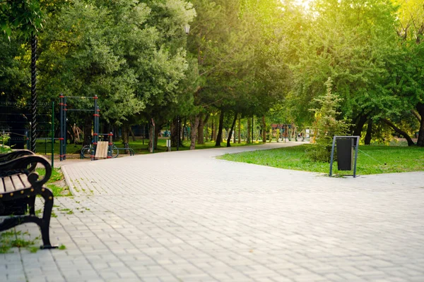 城市公园里有树木和草的路 — 图库照片