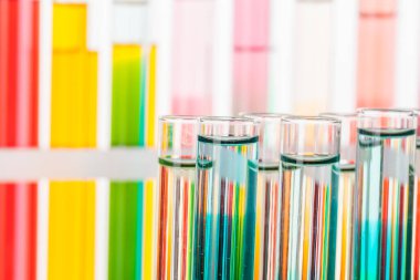 Analiz için sıvı ile cam laboratuvarı kimyasal test tüpleri yakın çekim