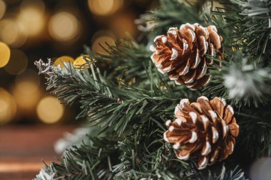 Süslemeleri ile Noel çam ağacı dalı yakın