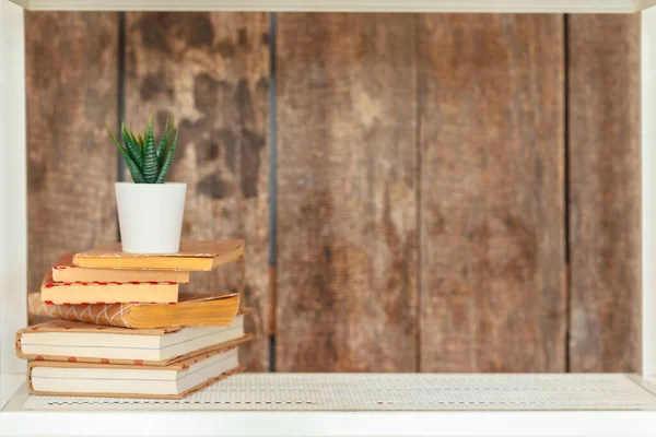 나무 벽에 붙어 있는 세련 된 흰색 책장 — 스톡 사진