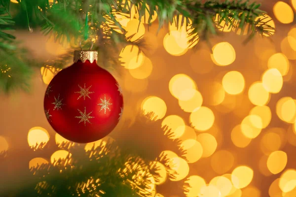 Bola roja de Navidad colgada en la rama del abeto sobre fondo de luces bokeh doradas —  Fotos de Stock