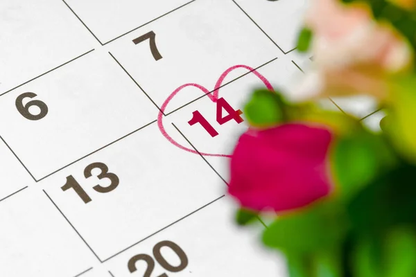Valentinstag-Konzept. Frische Blumen mit der Nummer 14 — Stockfoto