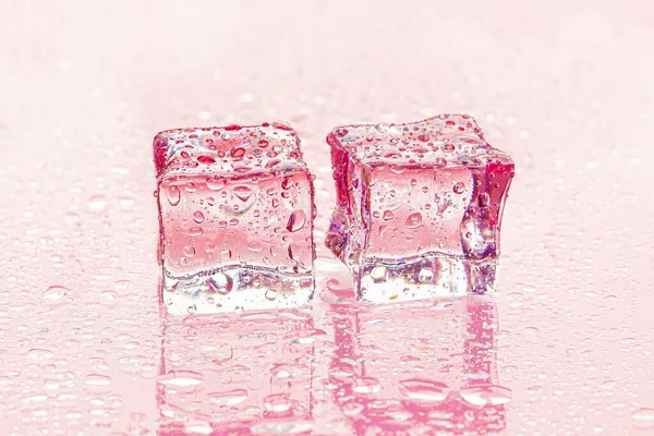 Cubos de hielo Fozen sobre fondo rosa húmedo —  Fotos de Stock