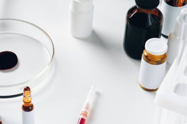 Petri kabıyla kan testi analizi. Yakın çekim.