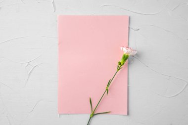 Pembe bir kağıdın üst görünümü ve kopyalama alanı olan çiçekler
