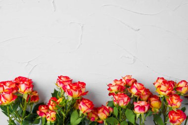 Açık gri arkaplanda kopyalanmış küçük güller.