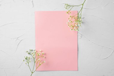 Pembe bir kağıdın üst görünümü ve kopyalama alanı olan çiçekler