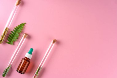 Alternatif tıp konsepti. Doğal bitkisel homeopatik ilaç.