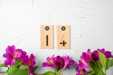 Valentness Günü konsepti. 14 'lü taze çiçekler.