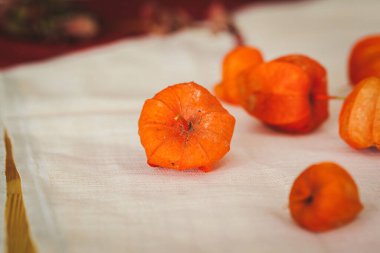 Doğal renkli sonbahar süslemeleri. Physalis fetüsü yakın çekim.