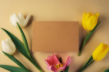 Bej arka planda yeni lalelerle çevrili kağıt kart.