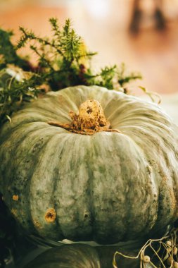 Masanın üzerinde balkabağı ile sonbahar arka planı