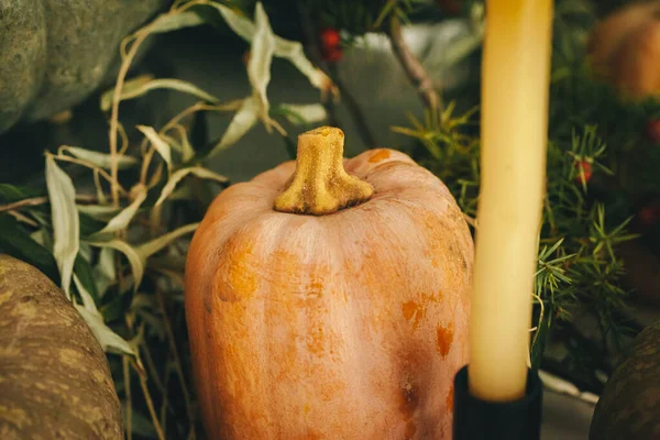 Arranjo de decoração de outono rústico com abóboras de perto — Fotografia de Stock