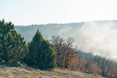 Sonbahar kırsal manzarası. Dağlar ve ormanlar sabah sisiyle kaplı.